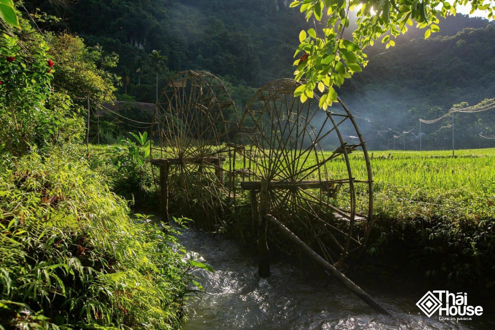 Thai House Pu Luong - Century Old Stilt House With Terrace Views Huong Ba Thuoc Luaran gambar